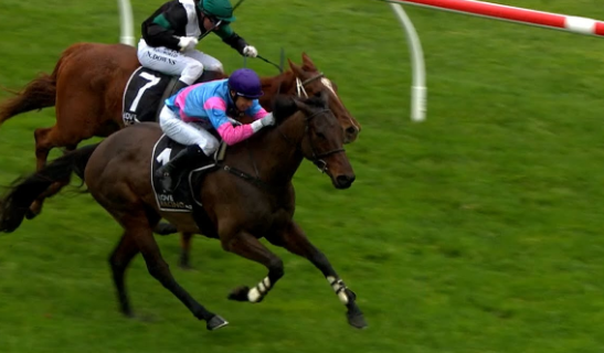 NUOVA ZELANDA. A Te Rapa strepitoso double Paul Nelson, Corina McDougal e Aaron Kuru, che vincono le due prove principali del convegno, il Waikato Hurdle con Nedwin e la prova omonima sullo steeplechase con il fenomenale The Cossack