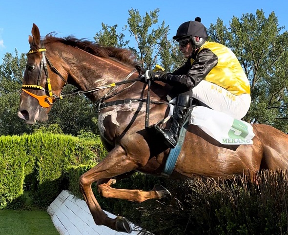 ITALIA. Merano, uno due Aichner Vana grazie ai canter degli esordienti Mangiapeccati nella prova riservata agli anziani e quella del tre anni Feed Back fra i giovanissimi. Rientro top per Azonto e Gabriele Agus al debutto in steeple chase selling