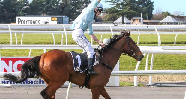 NUOVA ZELANDA. Domenica attesissimo doppio appuntamento a Te Rapa con il Great Northern National Hurdle e Steeplechase. Sui grandi ostacoli il fenomeno West Coast vs The Cossack e Prince Turbo, nella prova in siepi Nedwin grande favorito