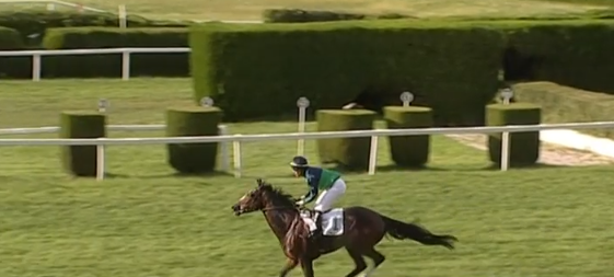 ITALIA. Merano, la tre anni Alizee regala il primo successo da allenatore ad Alex Pollioni. Black Star ok nella prova riservata ai 4 anni, El Bulli doppio Agus in giornata. Heichal e Tereza Polesna firmano la tripla nel cross country