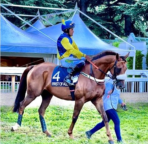 ITALIA. First Of All e Felix De Giles dominano l’84 esima edizione del Gran Premio Merano Alto Adige. Ocean Life chiude ottimo secondo precedendo il francese Polinuit, quarto Her Him avanti ad un ottimo Ballinsco, L’Estran cade all’oxer e saluta Maia