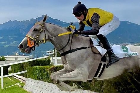 ITALIA. Week end a Maia. Oltre al Gp Merano, sabato Nazioni e Steeple Chase d’Italia, domenica la Gran Corsa Siepi con il fenomeno Mauricius, Gran Criterium D’Autunno e Corsa Siepi dei 4 anni