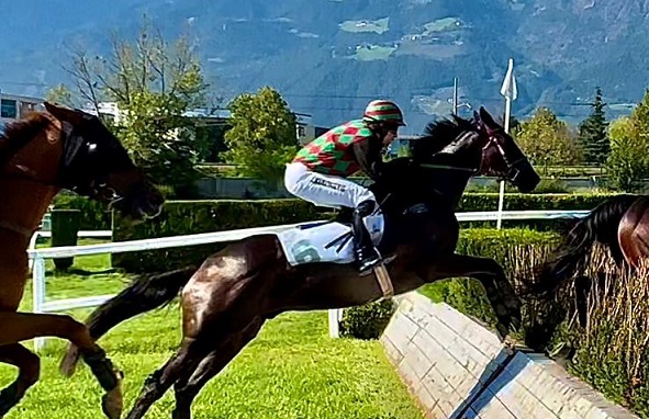 ITALIA. Edinson in forma extra lusso vince la periziata sulle siepi riservata agli anziani. Occhio Alla Penna si conferma alla grande nella Novices, Boule de Neige e Oleksandr Ryzhak di misura nello steeple chase