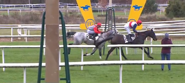 FRANCIA. Iltone e Nicolas Gauffenic vincono il Grand Steeple Chase de la Solle. A Fontainebleau lo specialista di Noel George ed Amanda Zetterholm, prevale su Affortunato al termine di un bel duello in dirittura d’arrivo