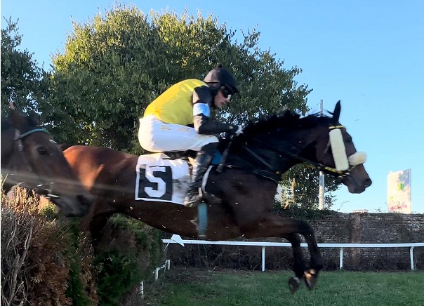 FRANCIA. Lord Dragon vince il ricco Prix Katko. Il portacolori di Josef Aichner guarda al Gp, Pepi Vana ci parla di questo successo e dell’attuale stagione in corso