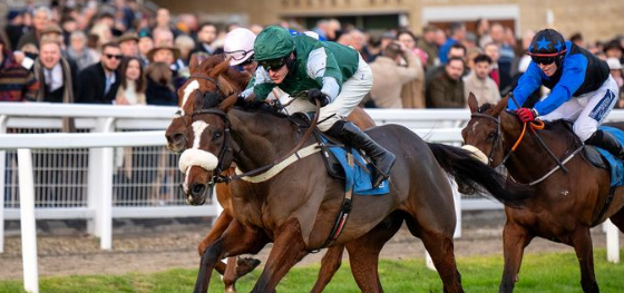 INGHILTERRA. Minella, un Missile a Cheltenham. A 22 vs 1 l’allievo di Evan Williams batte il grande favorito Captain Teague nel Trustatrader Novices Hurdle. Nell’Arkle Trial, JPr One out all’ultimo ostacolo, vince Homme Pubblic