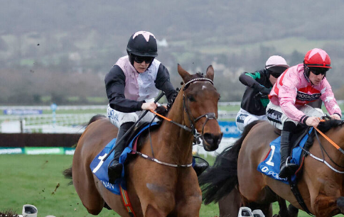 INGHILTERRA. Bob Olinger in splendido stile nel Relkeel Hurdle. L’allievo di Henry De Bromhead conferma la buona prestazione di Navan e resta imbattuto a Cheltenham