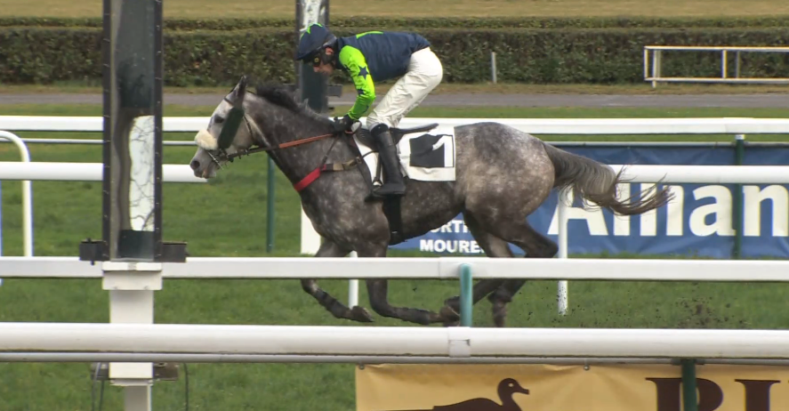 FRANCIA. Youtwo Glass impeccabile nel Bernard de Dufau. A Pont Long L’allievo di Daniela Mele conferma la propria classe, candidandosi nuovamente alla conquista del Gran Prix de Pau. Hip Pop Conti domina il Mortimer de Lassence