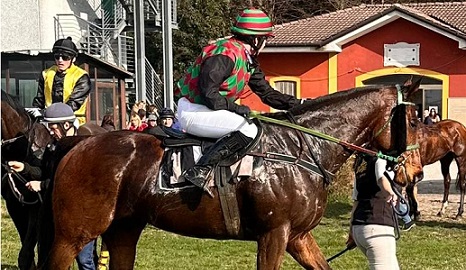 ITALIA. Fly Filo Fly e Tereza Podraska puntuali nel cross country del Montebelluna. Piton des Neiges domina la claiming sullo steeple chase