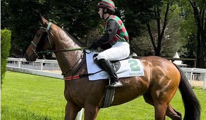 ITALIA. Domenica a Treviso con due prove riservate ai saltatori. Nel Montebelluna mix divertente aperto anche agli amatori con l’esperto Fly Filo Fly, nella claiming sul chase, si rivede Piton des Neiges