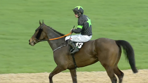 IRLANDA. Strepitoso Where It All Began che spazza via i suoi avversari nel Quinn Bet Grand National Trial Handicap Chase a Punchestown, battuto il favorito della corsa We’llhavewan