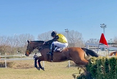 ITALIA. Ottimo rientro di Laldann. A Treviso facile vittoria per l’allievo di Pepi Vana all’esordio nel cross country. Surabaya in bello stile nella periziata in steeple chase