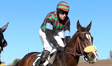 ITALIA. Natam con merito nello Steeple Chase di Treviso. Il portacolori di Mario Montanari interpretato da Jan Kratochvil, vince allo speed battendo il grigio Volkov Jelois. Cheverny e Igor gli altri protagonisti di giornata