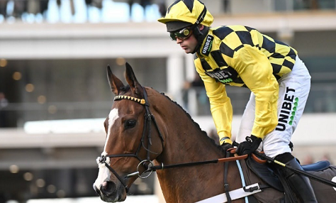 INGHILTERRA. Due grade one in attesa della Gold Cup, nell’ultimo atto del meeting a Cheltenham. Al JCB Triumph Hurdle atteso l’imbattuto Sir Gino contro la truppa di Willie Mullins, ancora tutto da definire nell’Albert Bartlett