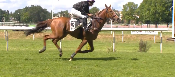 FRANCIA. Cabot Cliffs non da scampo ad Happyday. Nella Grand Course de Haies de Nantes, super vittoria del tedesco di Christian Von Der Recke interpretato da Hakim Tabet che ha conquistato la sedicesima vittoria in carriera, terzo Honor Royal