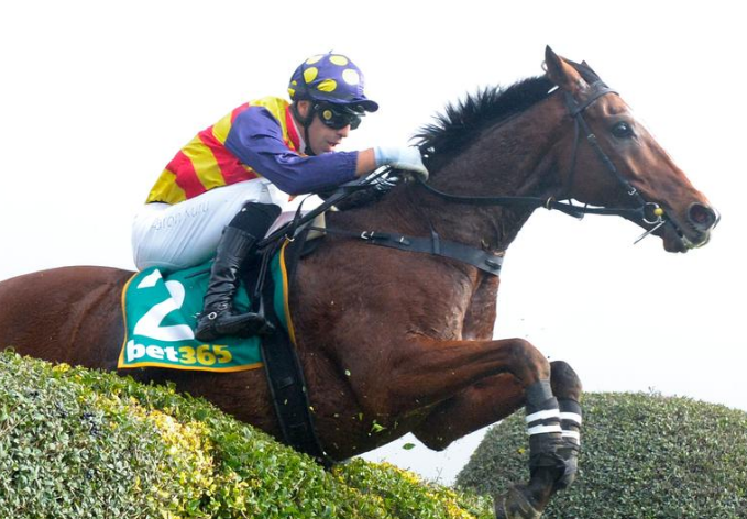 AUSTRALIA. Elvison Re di Casterton. L’allievo di Symon Wilde domina il ricco Ecycle Two Rivers Steeple Chase, in sella al vincitore il top jockey Aaron Kuru. Thackeray o Australian Steeple Chase i prossimi obiettivi
