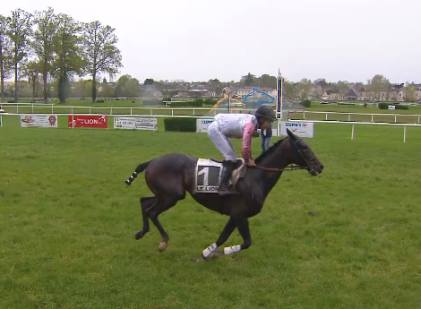 FRANCIA. Giovedì appuntamento con la tappa della Crystal Cup a Le Lion D’Angers, si corre la super maratona del Prix Anjou Challenge sui 7300 metri, la corsa più lunga al mondo dove è atteso Ever Forget Me per Eric Leray