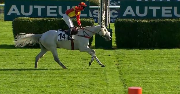 FRANCIA. Heraliste e Gaetan Masure perfetti nel pantano del Prix Montgomery ad Auteuil, battuto il valido Indivis, terzo a distacco Kerida avanti a Le Listrac