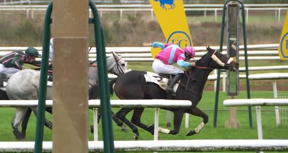 FRANCIA. Super Quick Daddy a sorpresa nella Grande Course de Haies de Fontainebleau. L’allievo di Mlle Jéromine Le Stang, ha preceduto di misura Affortunato e General Desjy