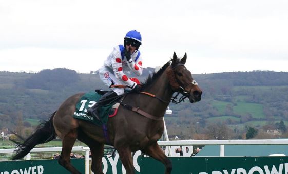 INGHILTERRA. Freddie Gingell, stella nascente. Il fenomenale young jockey, alla soglia dei diciotto anni, dopo aver conquistato il Clarence House di Gr1 la scorsa a stagione, ancora protagonista a Cheltenham nella ricca Paddy Power Gold Cup in sella a Il Ridoto