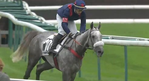 FRANCIA. Le Philosophe e Gaetan Masure sbancano il Grand Steeple Chase de Compiégne, battuti Kyrov e il favorito General En Chef