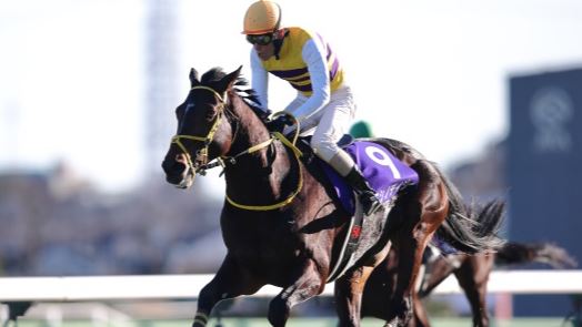 GIAPPONE. Nishino Daisy torna a vincere il Nakayama Daishogai, battuto Ecoro Duel e l’outsider Neviim, quarto l’atteso June Velocity, out Meiner Grand