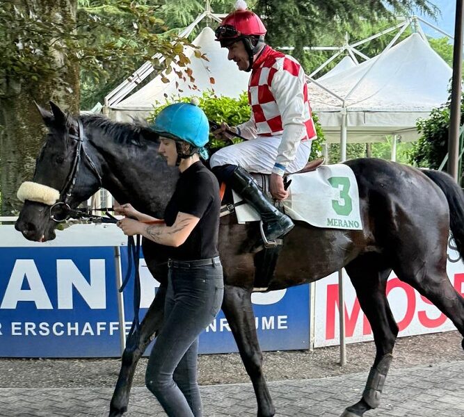 ITALIA. Merano, First Of All rientra da campione nel Pentecoste, battendo un ottimo Monster Caroli. Conferma di Coral Noir nel Val Martello, ma corre bene Cheeky Blimey; appuntamento al Vanoni