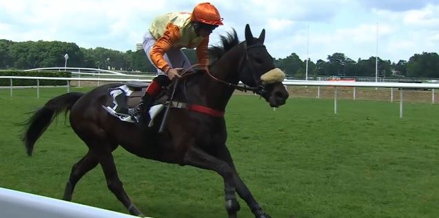 FRANCIA. Jibson e Leo Paul Brechet, vincono la Grand Course de Haies de Nantes, battuto il favorito Kyrov