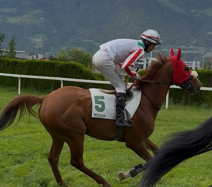 ITALIA. Sopran Pechino esordio con il botto a Merano. Night Pretender strappa il pass per il Criterium di Primavera, Heichal la reginetta del cross piccolo di Maia. Doppio per Gaetano Volpe