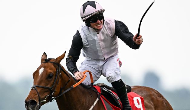 IRLANDA. Teahupoo torna protagonista a Punchestown. Nel terzo atto del meeting, conquista per il secondo anno consecutivo la Champion Stayers Hurdle