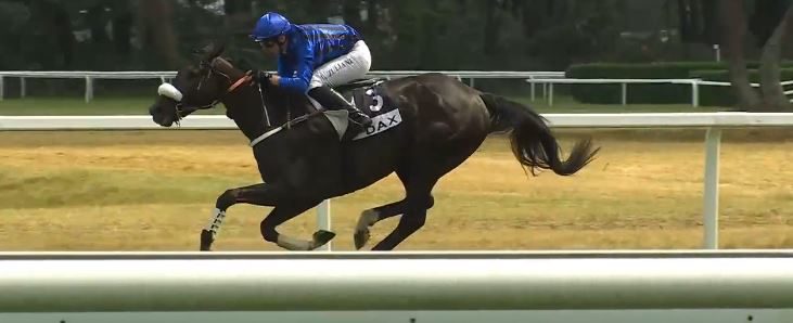 FRANCIA. Perfetto coast to coast del favorito Jeu Ker Sapi nel Grand Steeple Chase de Dax, battuto l’esperto Chouan